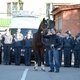 Орловский жеребец Сальвадор