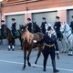 Орловская кобыла Пандора