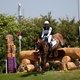 Андрей МИТИН и ГЮРЗА / Фотограф: Екатерина ШТАТНОВА/equestrian.ru