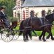 Всемирные конные игры. День 11. Праздник лошади Нормандии