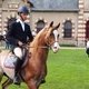 Всемирные конные игры. День 11. Праздник лошади Нормандии