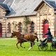 Всемирные конные игры. День 11. Праздник лошади Нормандии