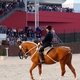 Всемирные конные игры. День 11. Праздник лошади Нормандии