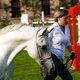 Всемирные конные игры. День 11. Праздник лошади Нормандии. Выводка арабских лошадей