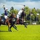 British polo day в Целеево