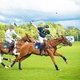 British polo day в Целеево