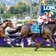 В призе Breeders Cup Turf победу одержал Брикс энд Мортар (на переднем плане под номером 9)