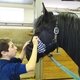Уход за лошадьми и амуницией – обязательная часть работы с подопечными конной школы / Фотограф: детский дом «Павлин»