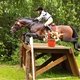 Евгения ВЫСОЦКАЯ и ПЕРФЕКТ на Чемпионате России, CCI3*