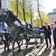 Президент Монголии Цахиагийн Элбэгдорж принимает участие в презентации монумента