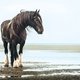  / Фотограф: Карина МАЙВАЛЬД