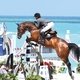 Дженнифер ГЕЙТС и БАРДОЛИНО / Фотограф: LGCT/Stefano GRASSO