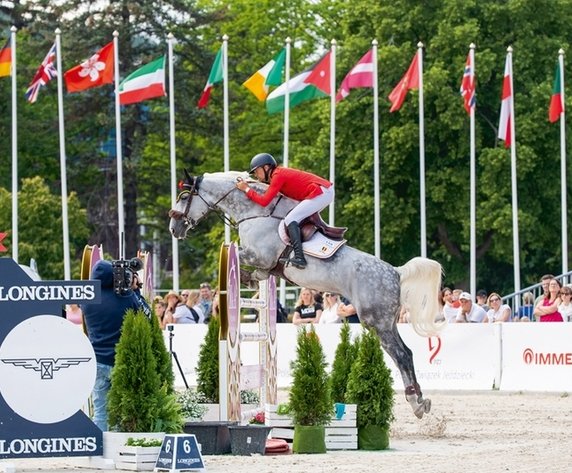 Бельгия – мировой поставщик конкурных лошадей