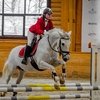 Февраль в КСК «Пегас» 