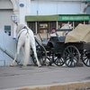 Трагедия на Красной площади