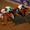 Breeders Cup, праздник с оттенком грусти