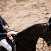 В Италии стартует конкурный турнир CSI4* 
