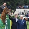 Сильнейшие конкуристы выступят на CSIO Rome 2021 