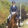 Команда России начала выступление на чемпионате Европы по выездке 
