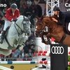 Аукцион Stal Optimus открыл торги на эмбрионов и жеребят 