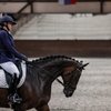 В КСК «Отрада» пройдут соревнования по выездке 
