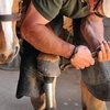 BETA проведет месяц карьеры в конноспортивном секторе 
