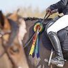 Россияне в призах на турнире в Олива Нова 