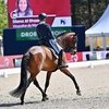 Диана Аль-Шаер выступит на чемпионате мира по выездке