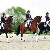 Мария Клементьева победитель чемпионата Москвы по выездке