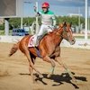 Всероссийская Оксистка Пионер Гел вернулась на дорожку
