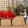 Первый «классик» от Калифорнии Хрома
