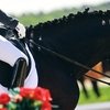 Новый век едет покорять Спартакиаду сильнейших, которая стартует уже завтра!