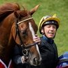 Страдивариус завершил скаковую карьеру