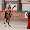 Выставка «Конная Россия» прошла в MAXIMA PARK 