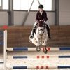 Зимний конкур на призы МКК «Вольт»