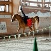 В КСК «Звездный» разыграли Кубок Федерации конного спорта России по джигитовке
