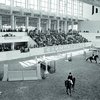 Новая конная база ЦСКА почти готова