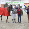 Стал известен победитель премии YOUNG STALLION AWARD Бельгийской ассоциации заводчиков!