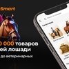 HorseSmart — маркетплейс конных товаров в России