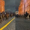 Ленинградские лошади пройдут с Парадом Победы по Красной площади
