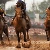 Жокей-победитель Кентукки Дерби оштрафован на $62 000
