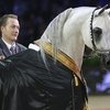 Salon du Cheval de Paris 