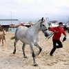 Feira Anual da Trofa