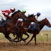 Якутские скаковые страсти поразили европейцев