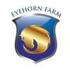 Eyehorn Farm. Здесь ты добьешься успеха! 