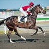 Дерби на Казанском ипподроме