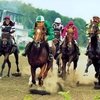Букмекерская контора: любителям скачек вход воспрещен!