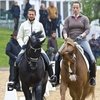 Всадник мужчина или женщина: есть ли для лошади разница?