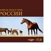 Проект года от "Золотого Мустанга"