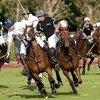 Приятные сюрпризы от организаторов Всемирных конных игр